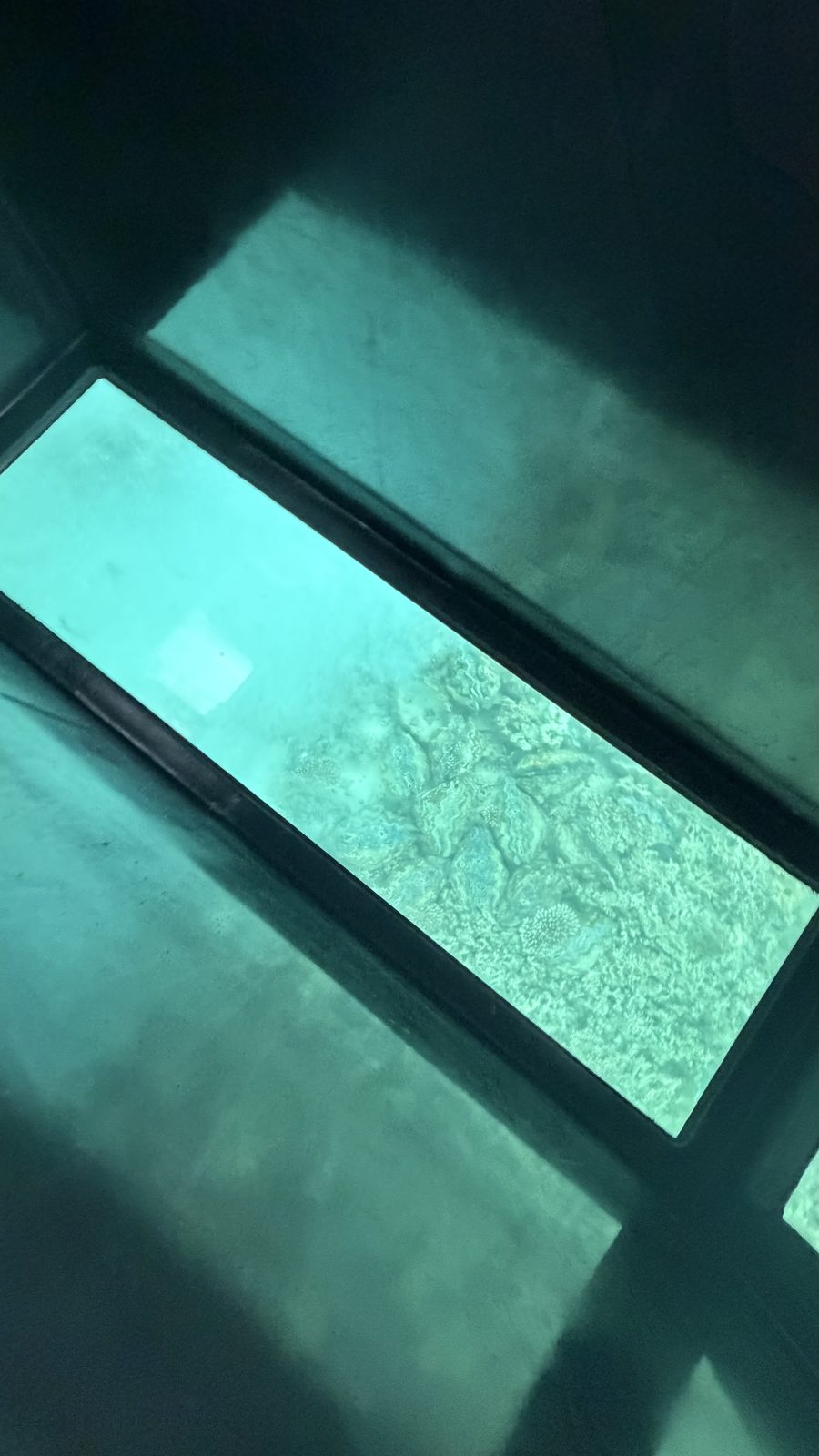 石垣島旅行の写真